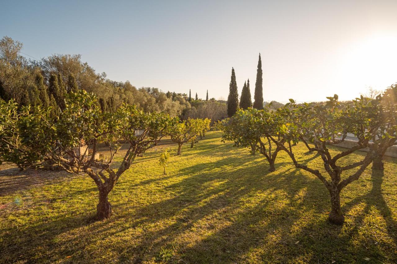Finca Montana Sant Joan المظهر الخارجي الصورة